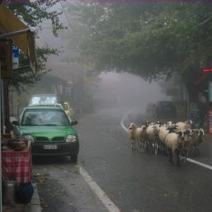 Meet your Posher, Calvin